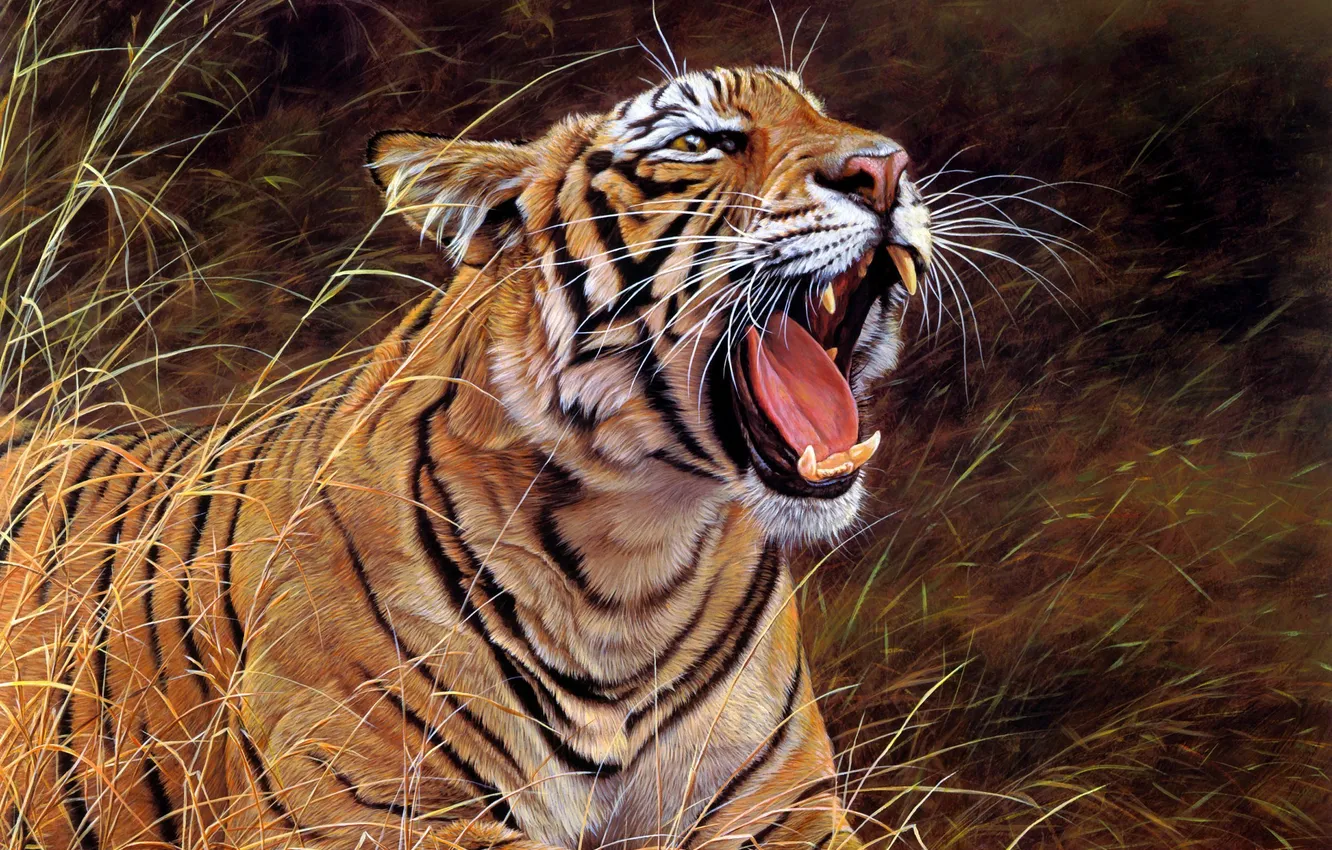 Фото обои трава, тигр, хищник, арт, пасть, Alan M Hunt