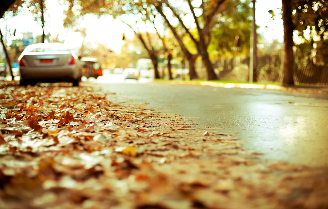 Фото обои дорога, осень, асфальт, город, листва, размытость, шоссе, эффект