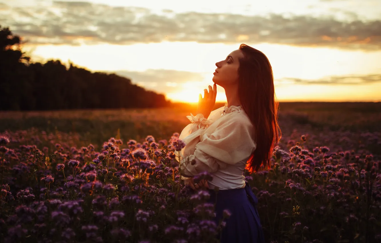 Фото обои девушка, закат, природа, поза, настроение, луг, Егор Конабевцев