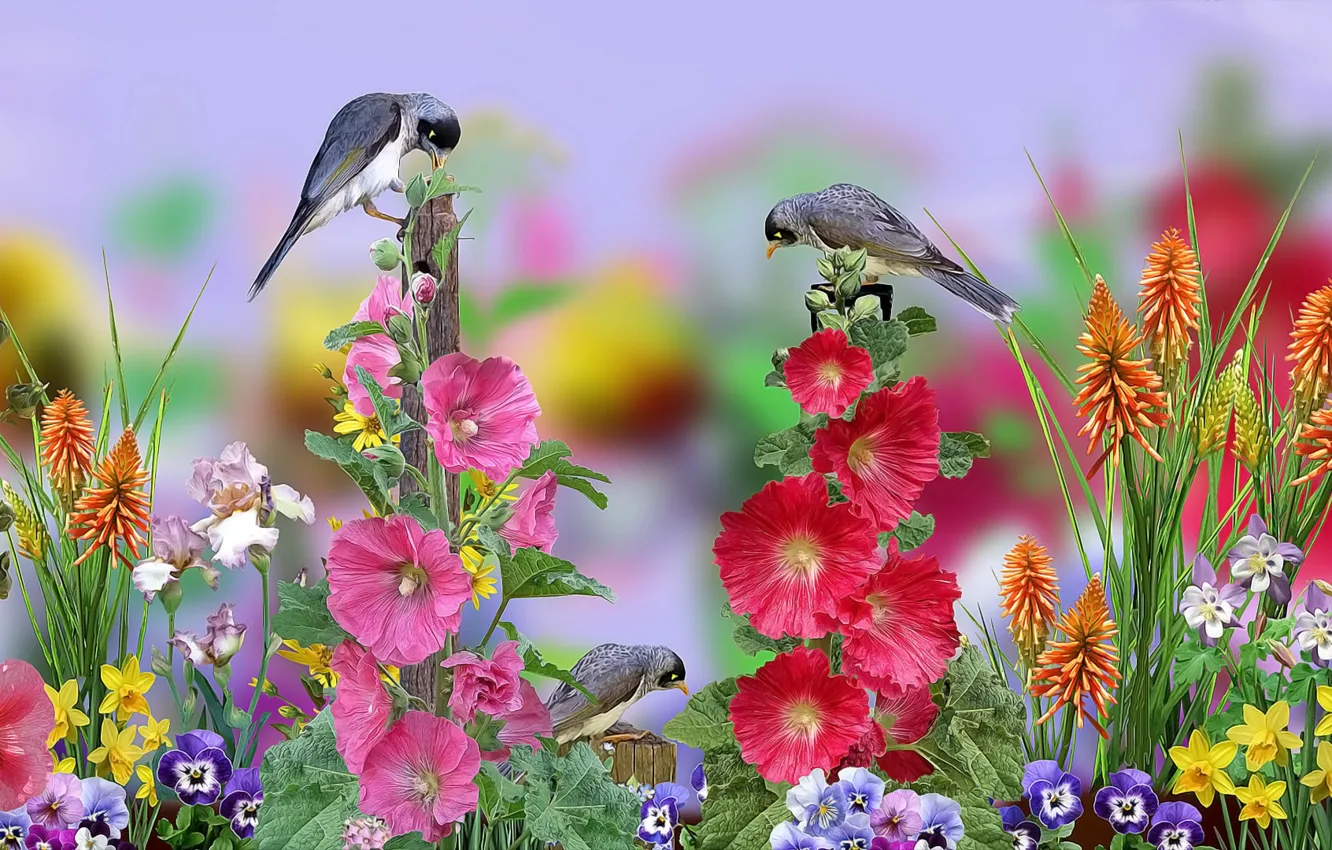 Фото обои grafika, kwiaty, ptaszki