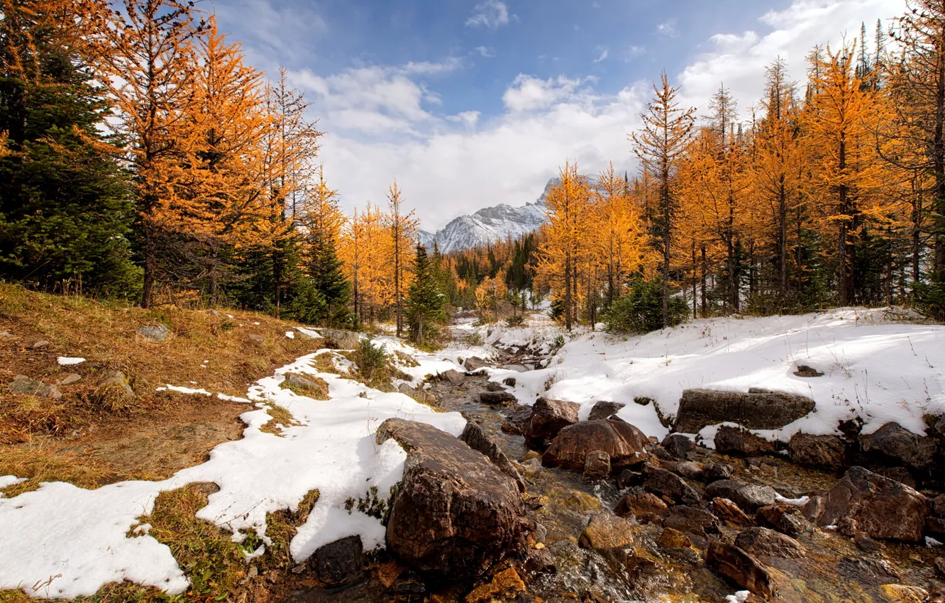 Фото обои Banff National Park, River, Canadian Rockies, Larch Valley
