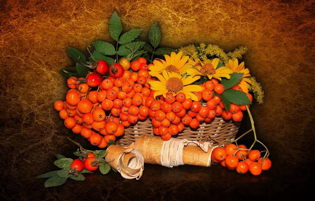 Фото обои природа, настроение, красота, красивые, beautiful, рябина, beauty, harmony