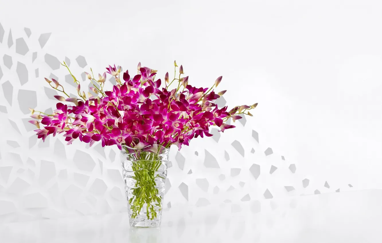 Фото обои цветы, букет, ваза, Purple, орхидеи, Vase, Orchids