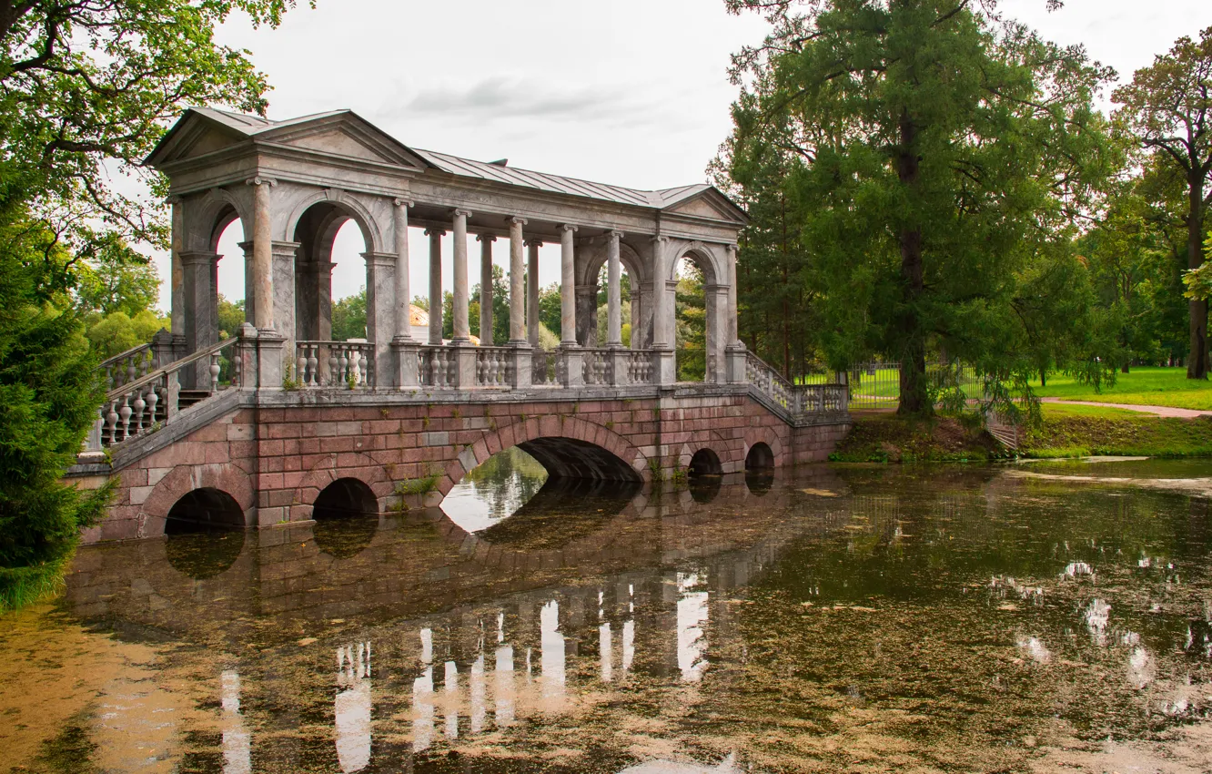 Фото обои мост, пруд, парк, пушкин