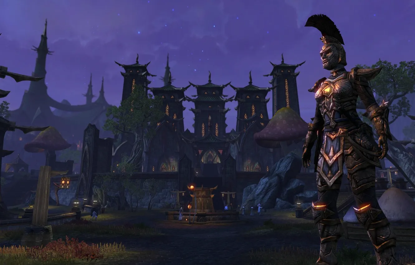 Фото обои город, воин, The Elder Scrolls Online, Ноч