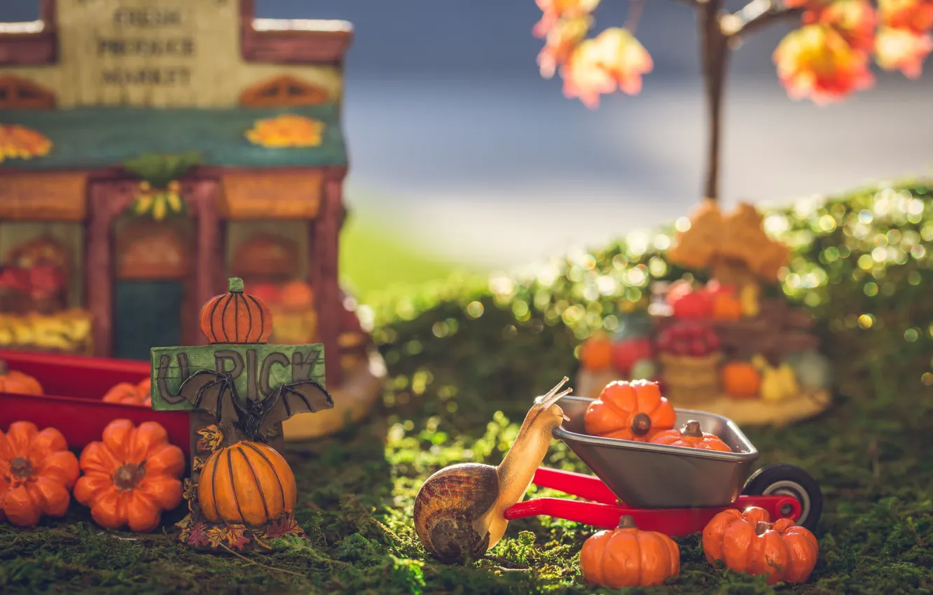 Фото обои осень, макро, игрушки, улитка, сад, урожай, тыквы, тележка
