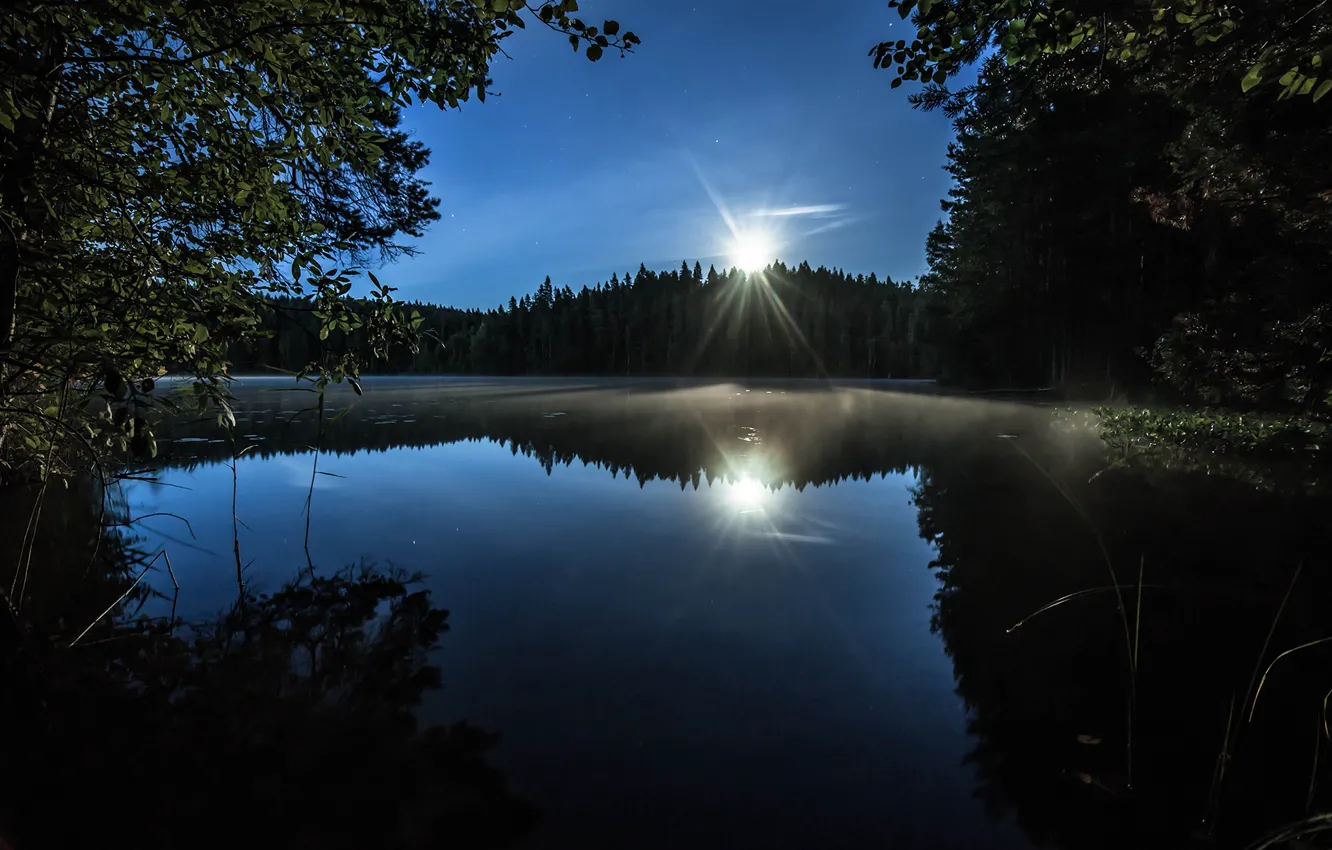 Фото обои trees, moonlight, reflection, Lake