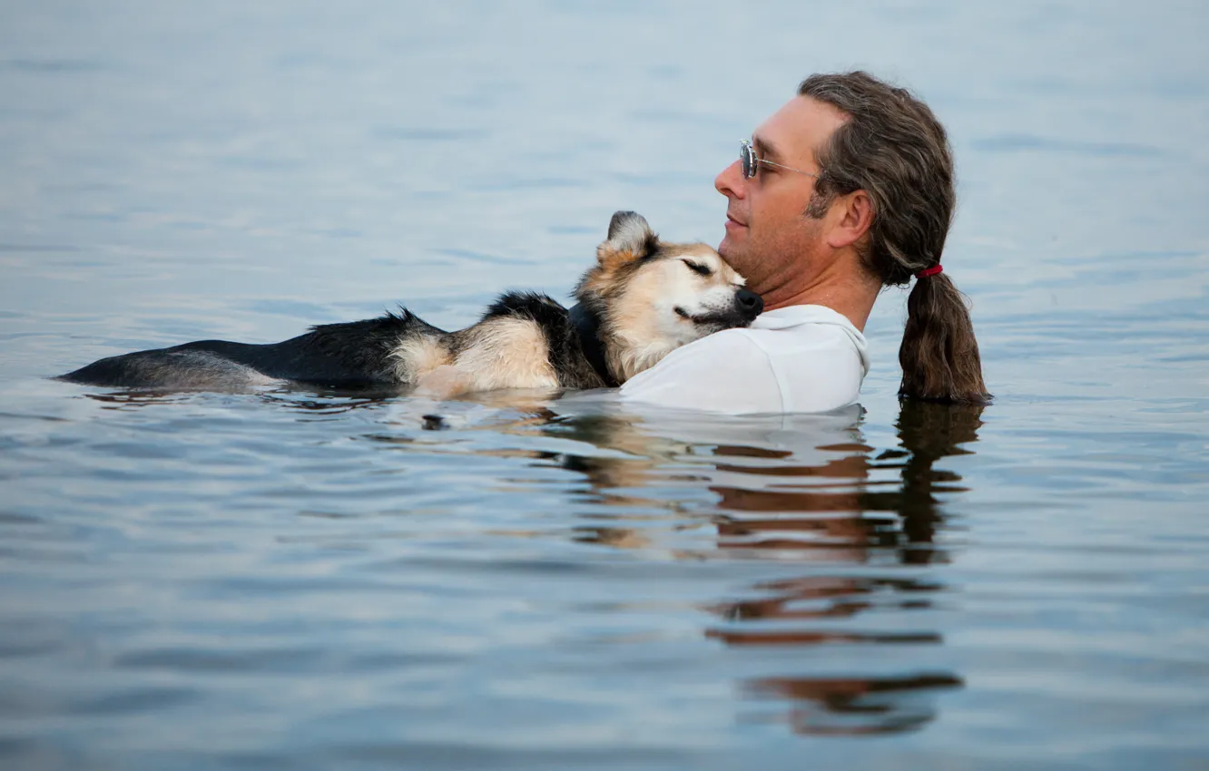 Фото обои вода, собака, мужчина