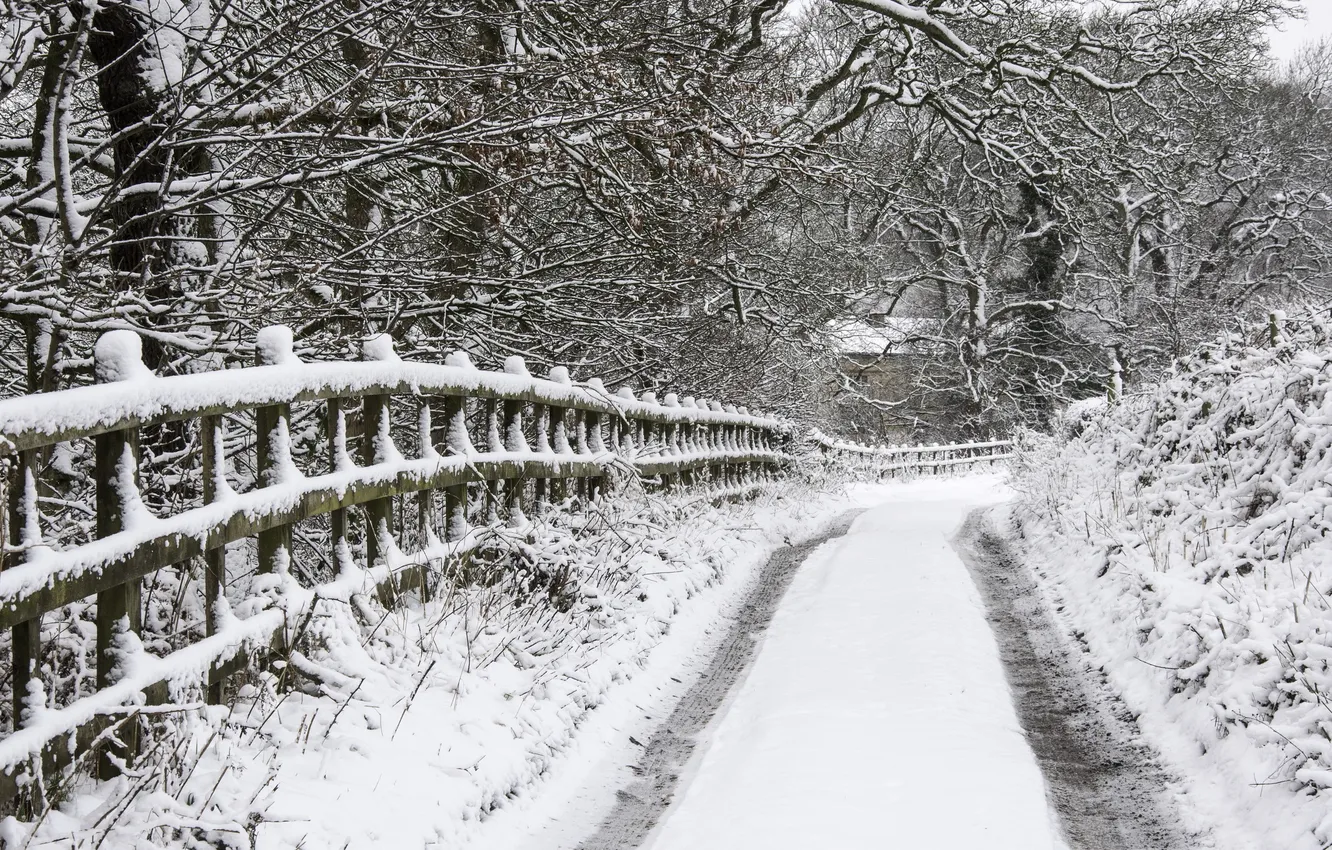 Фото обои зима, дорога, забор