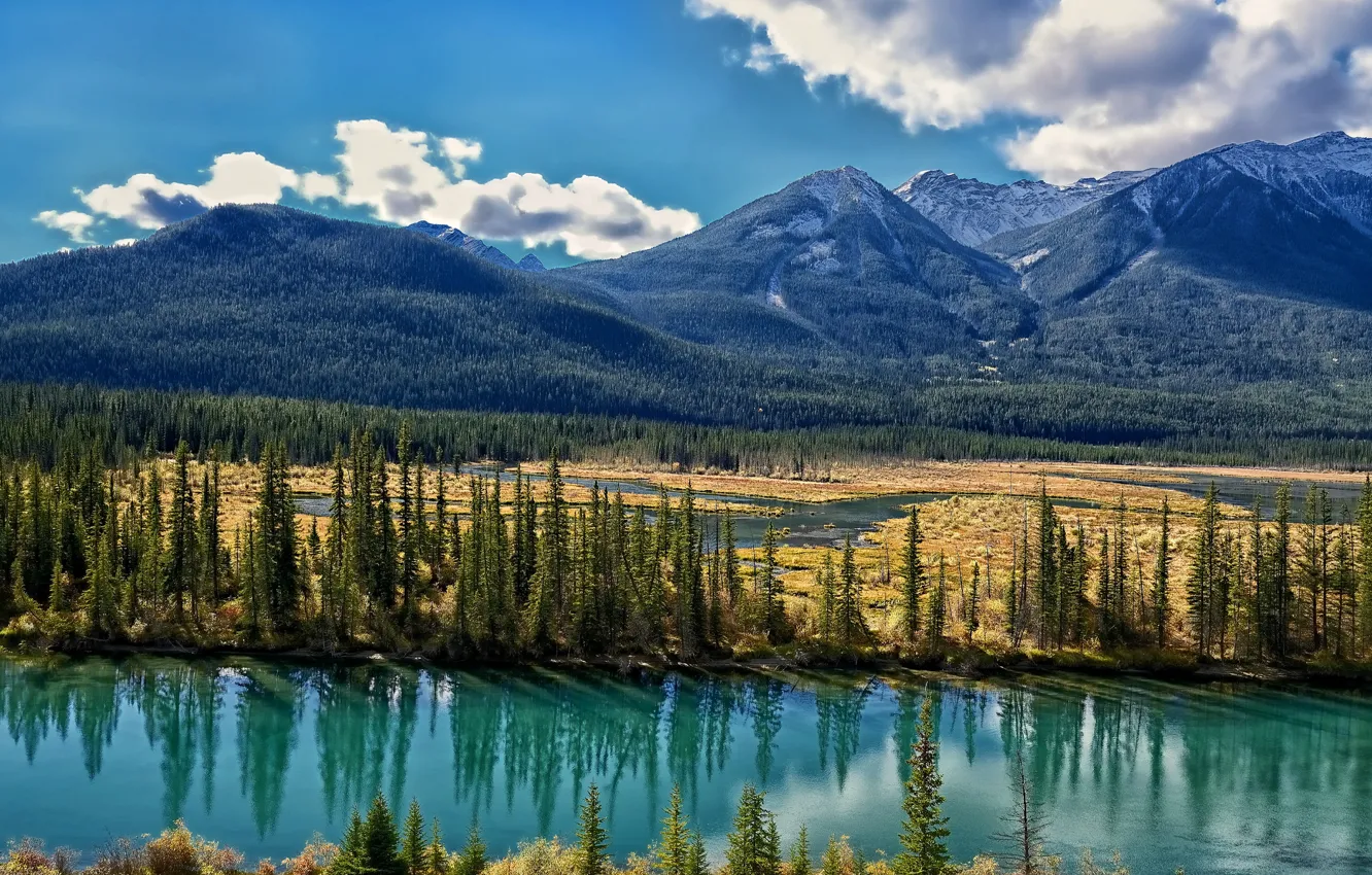 Фото обои деревья, горы, долина, Канада, Альберта, Alberta, Canada, река Боу