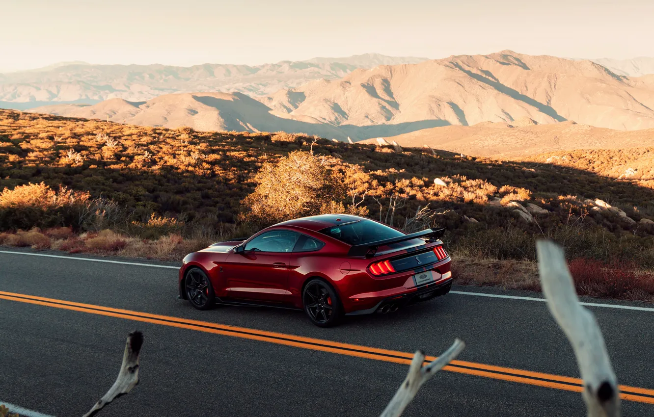 Фото обои дорога, Mustang, Ford, Shelby, GT500, кровавый, 2019