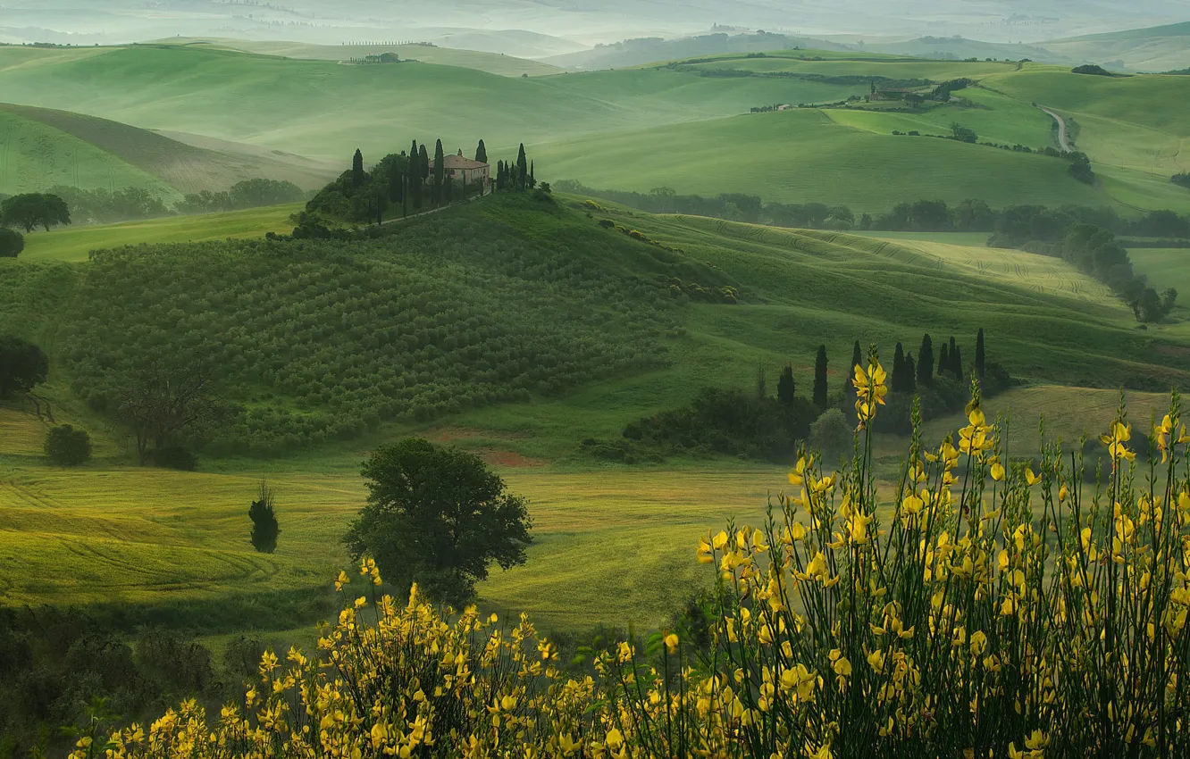 Фото обои цветы, холмы, поля, Италия, домик, луга, кипарисы, Тоскана