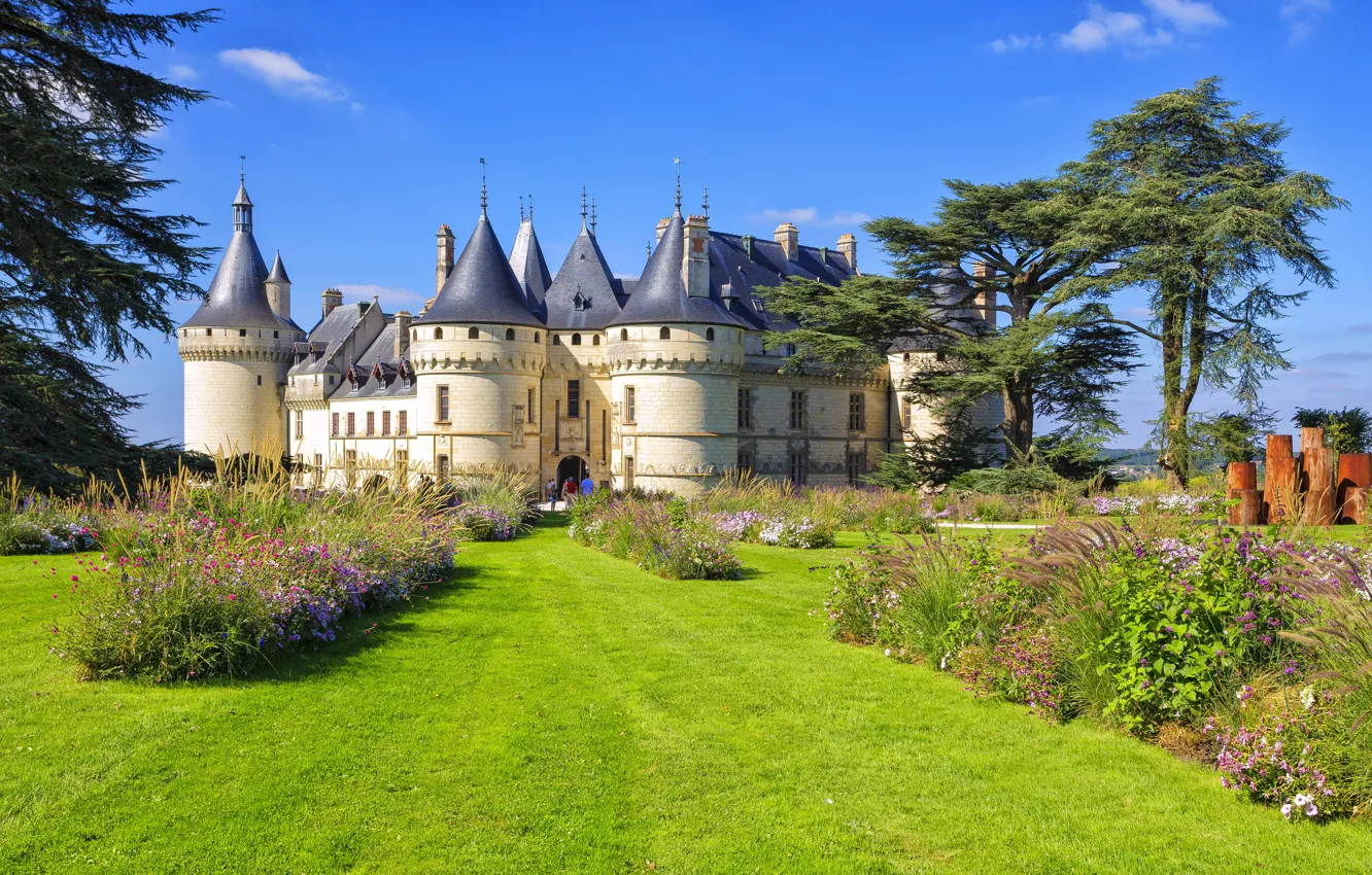 Фото обои цветы, замок, Франция, лужайка, Chaumont-sur-Loire castle