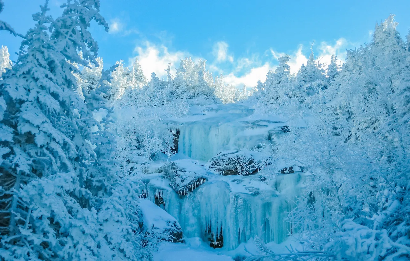 Фото обои лед, зима, лес, небо, снег, деревья, водопад