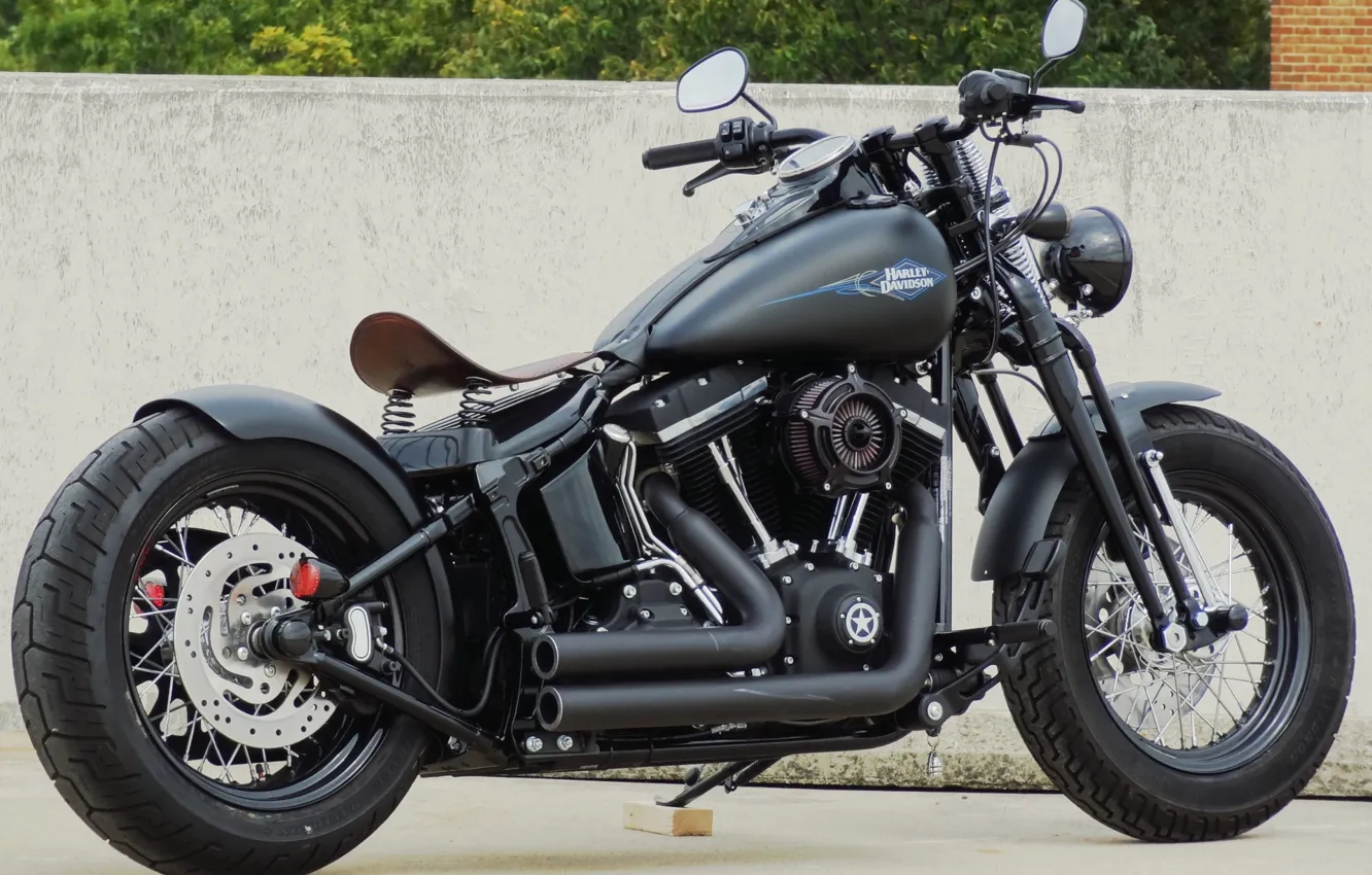 Фото обои Harley-Davidson, Custom, Motorcycle
