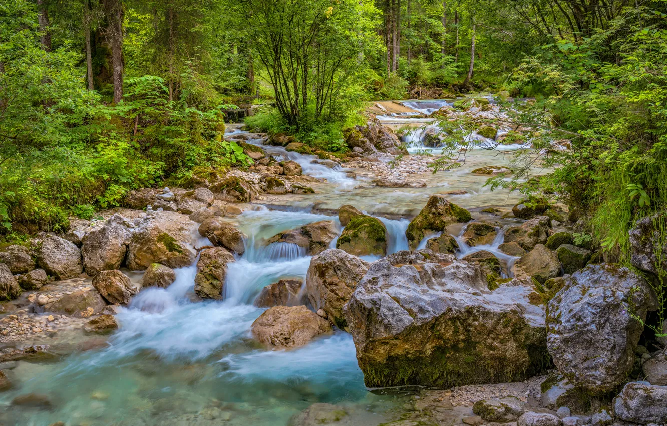 Фото обои Природа, Германия, Камни, Леса, Реки, Zauberwald