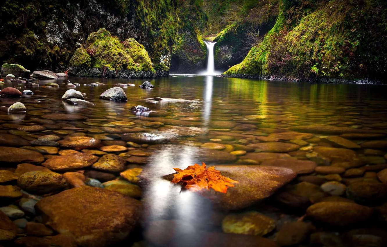 Фото обои осень, лес, природа, озеро, камни, водопад, дно