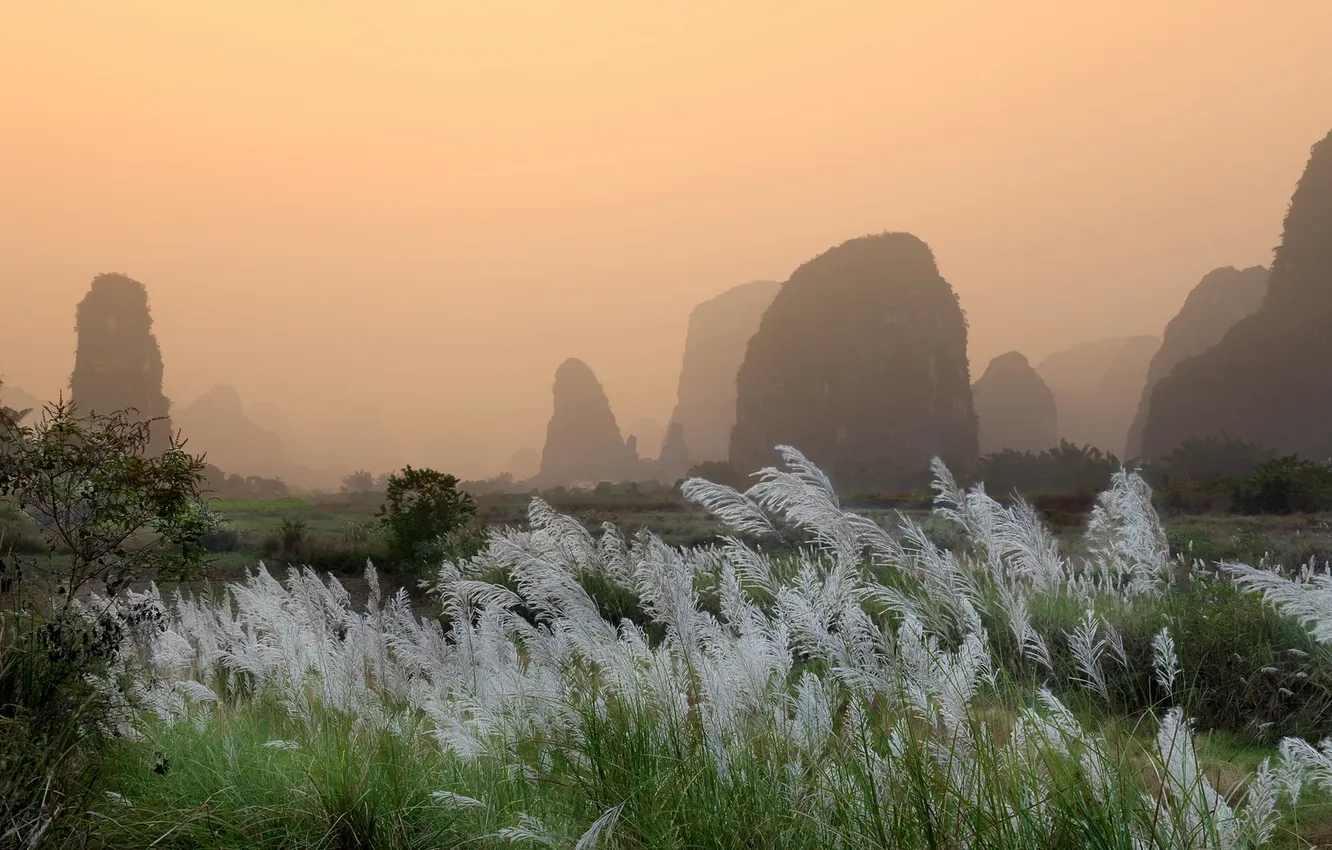 Фото обои трава, пейзаж, горы