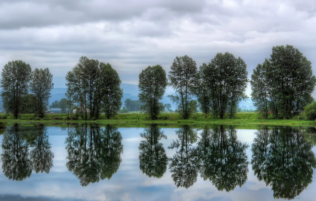 Фото обои небо, облака, деревья, река, Канада, Canada, British Columbia, Pitt Meadows