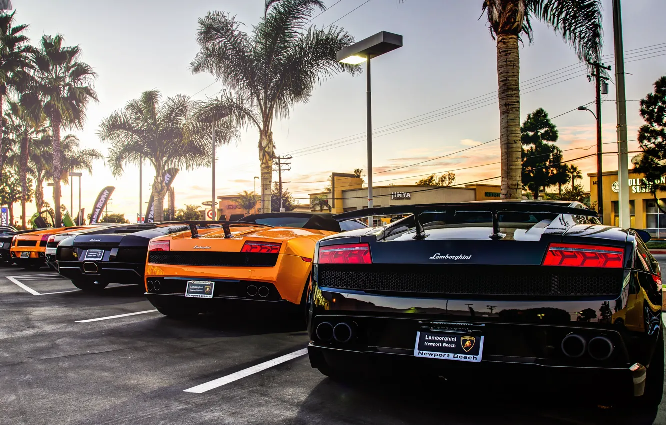 Фото обои Lamborghini, gallardo, murcielago, суперкары, aventador