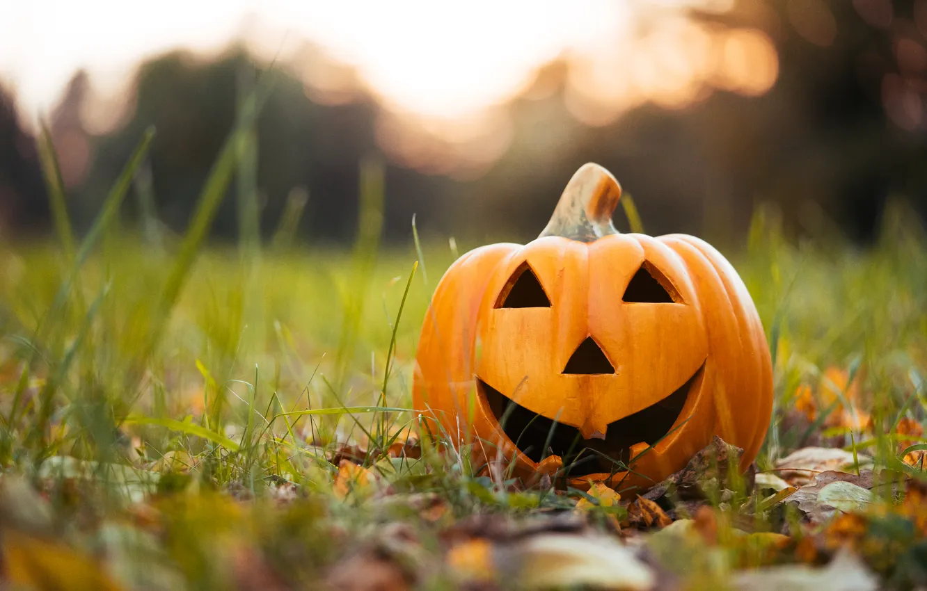 Фото обои halloween, smile, pumpkin