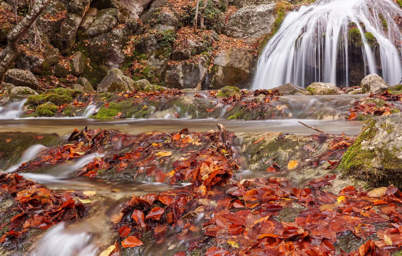 Фото обои осень, листья, водопад, colorful, nature, autumn, leaves, waterfall