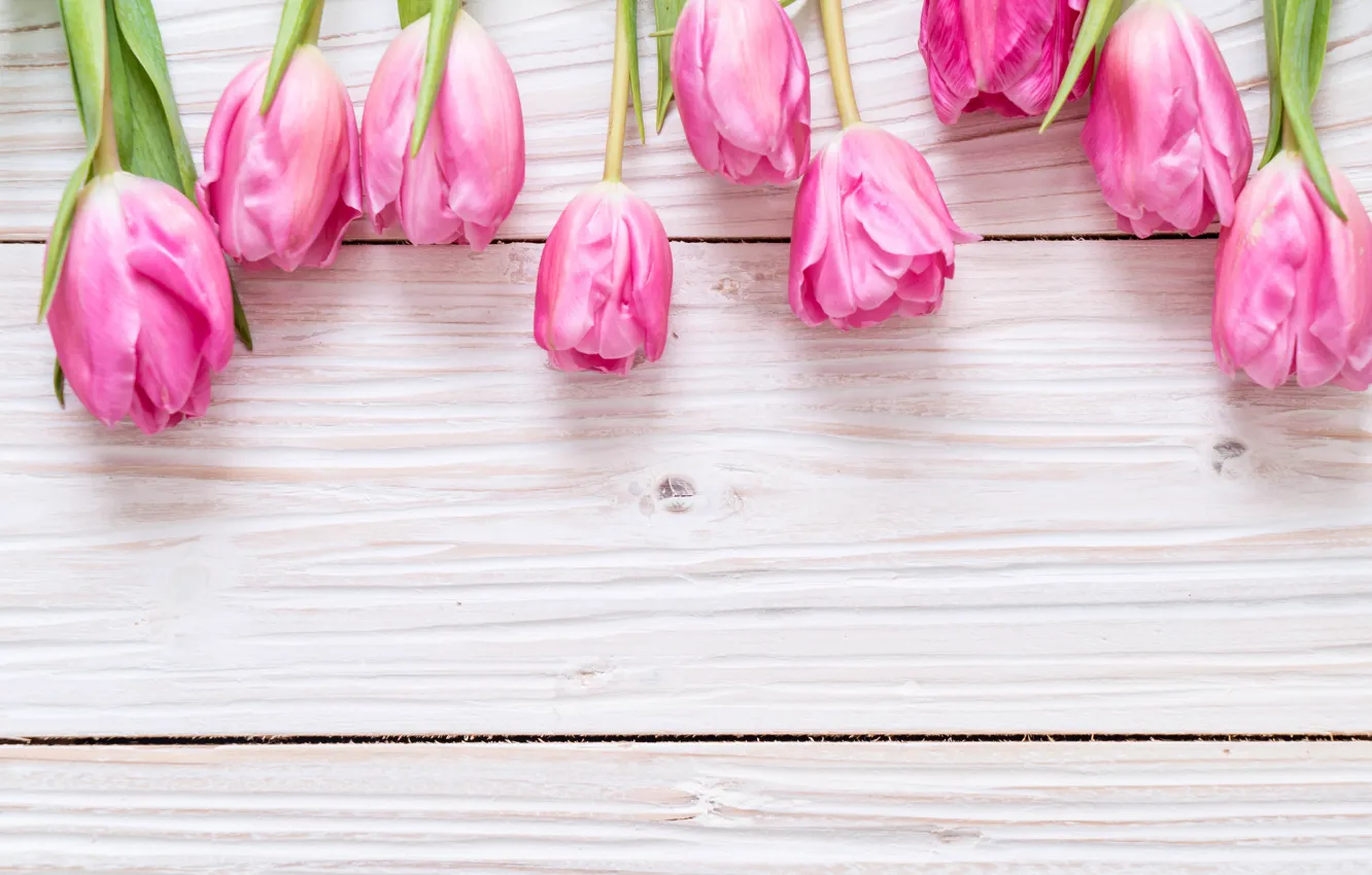 Фото обои цветы, тюльпаны, розовые, fresh, wood, pink, flowers, tulips