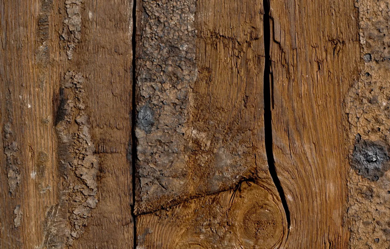 Фото обои wood, pattern, dark brown