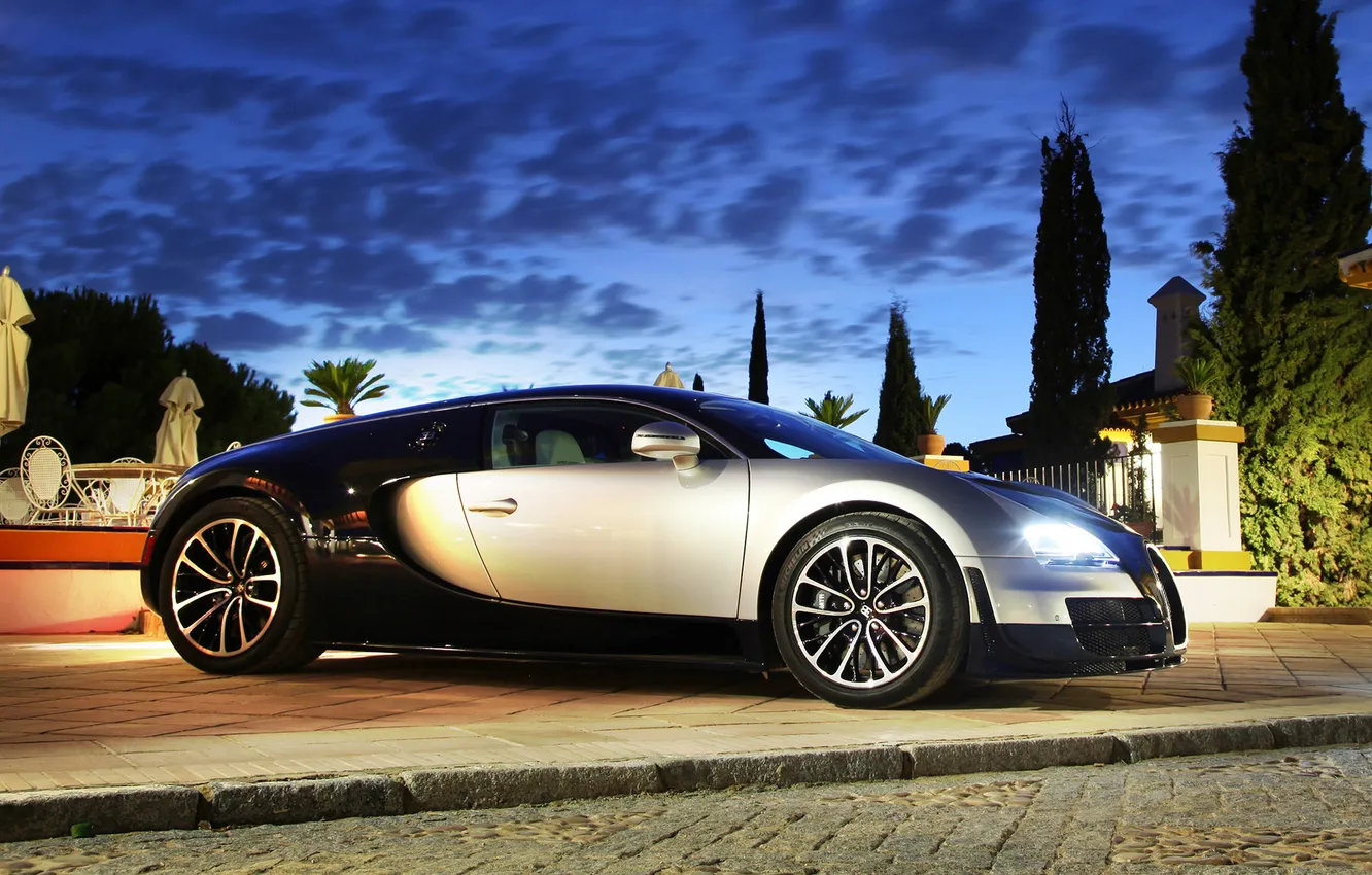Фото обои фары, вечер, Bugatti, veyron, Растения