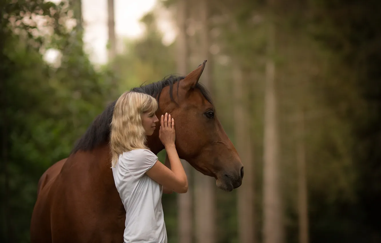 Фото обои девушка, настроение, конь