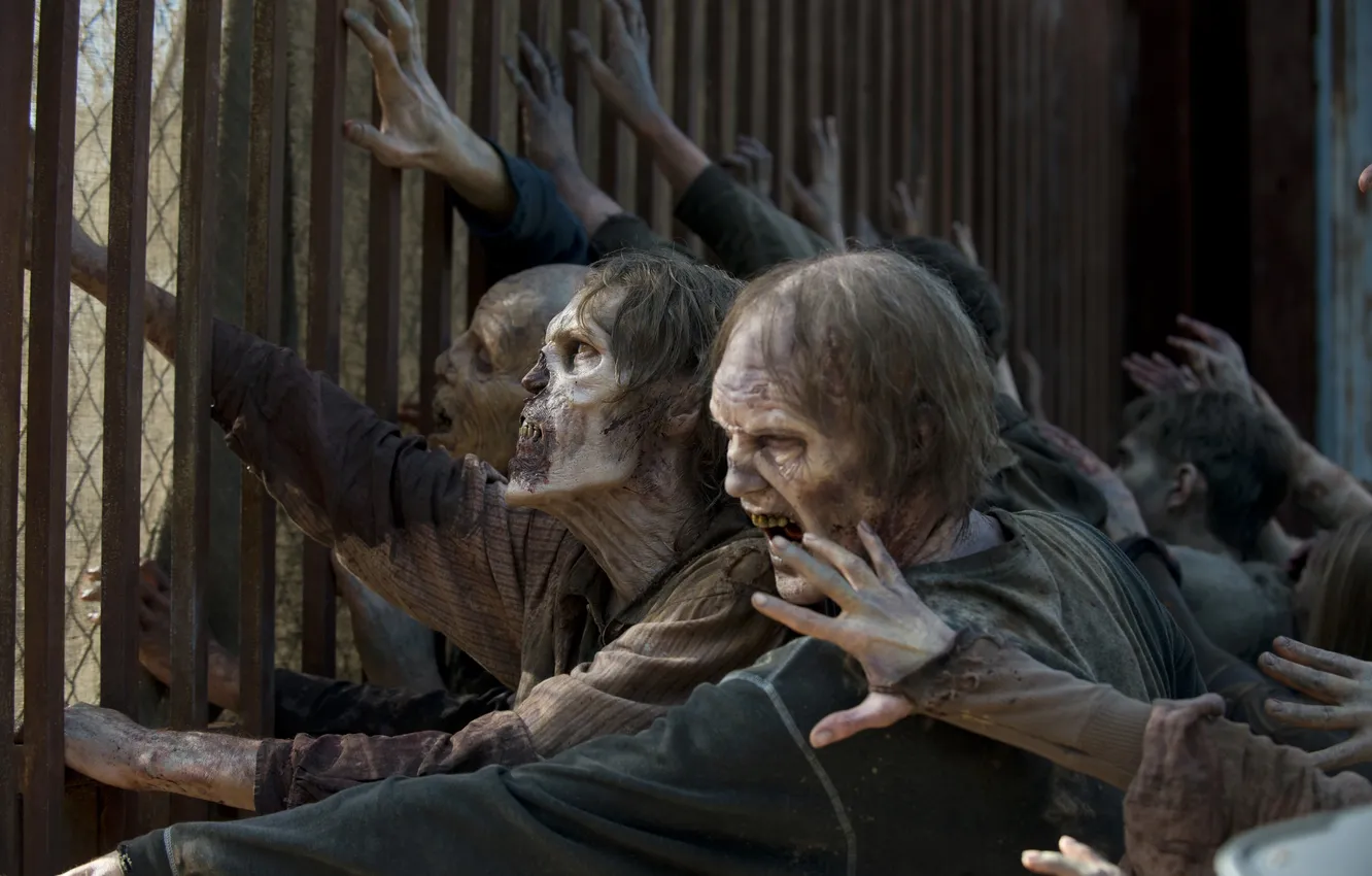 Фото обои Horde, Zombies, The walking dead