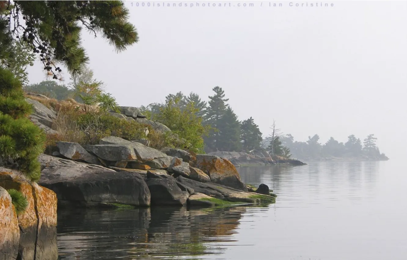 Фото обои вода, деревья, камни, берег
