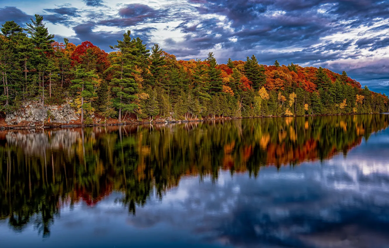 Фото обои осень, Ontario, Whitewater, Garden of Eden