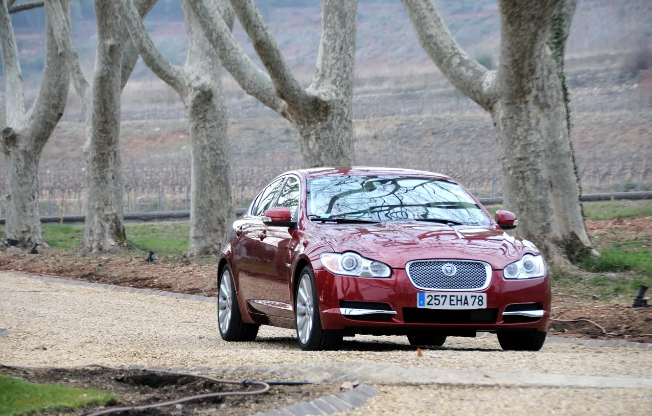 Фото обои машины, Jaguar, бордовый