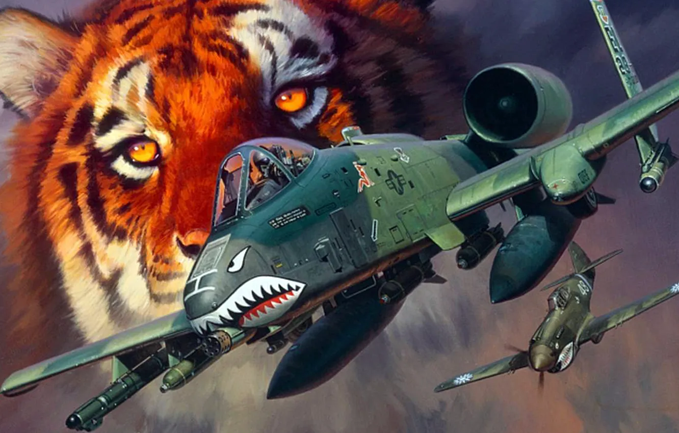 Фото обои тигр, рисунок, арт, A-10, Curtiss, P-40, Warhawk, Fairchild