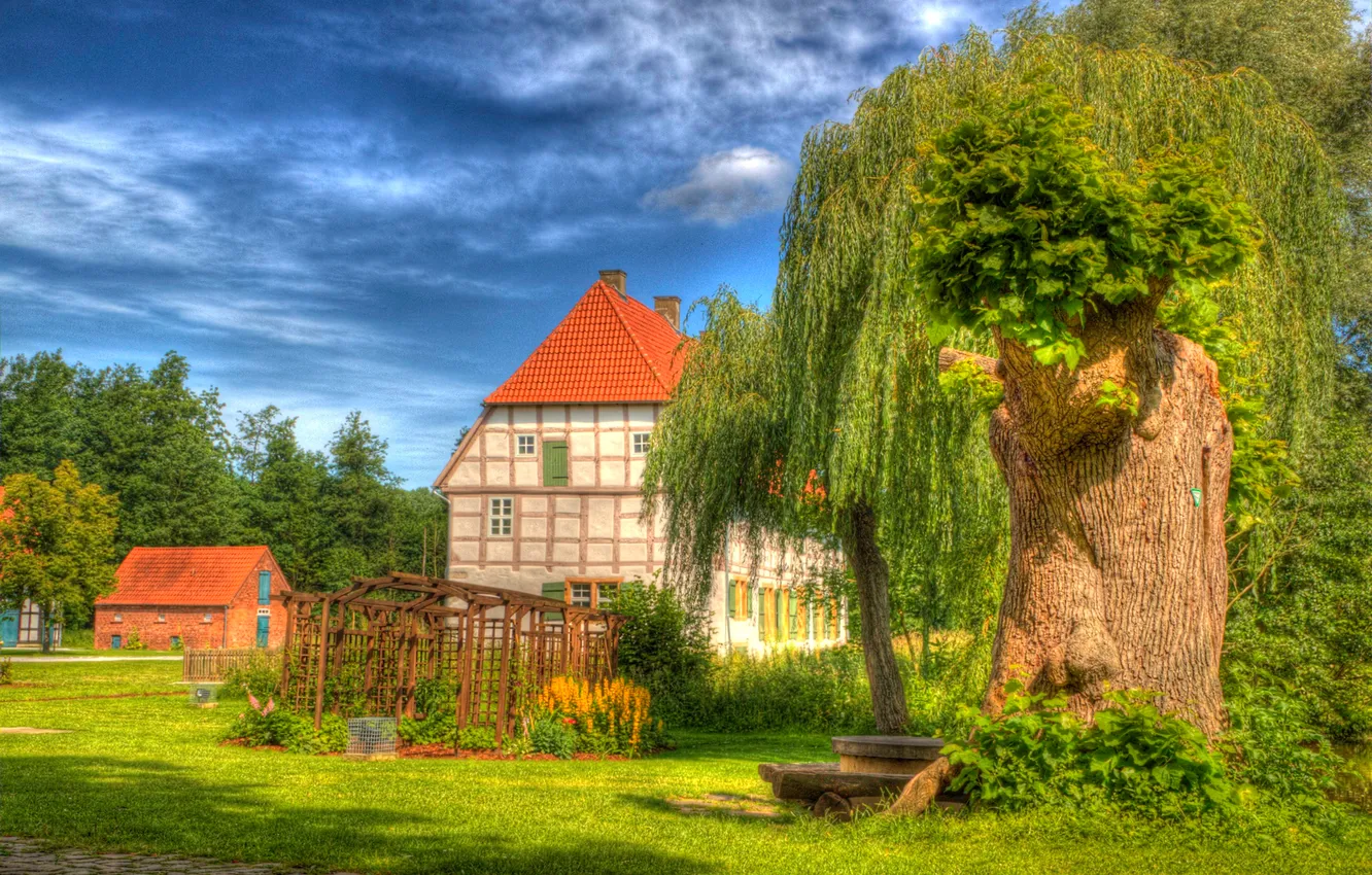 Фото обои крыша, небо, трава, деревья, дом, двор