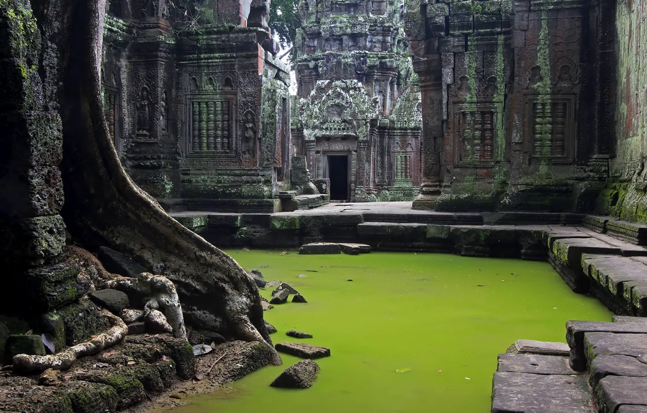 Фото обои Камбоджа, Cambodia, Angkor Wat, древние руины, исчезнувшая цивилизация, Ta Prohm Temple