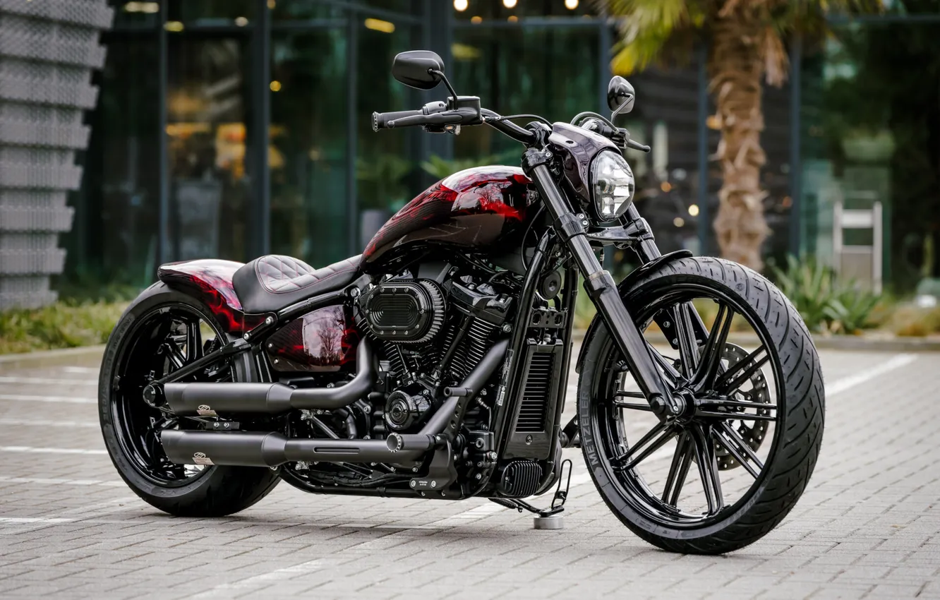 Фото обои skull, Tuning, harley-davidson, burning, customized, 114, Thunderbike, softial