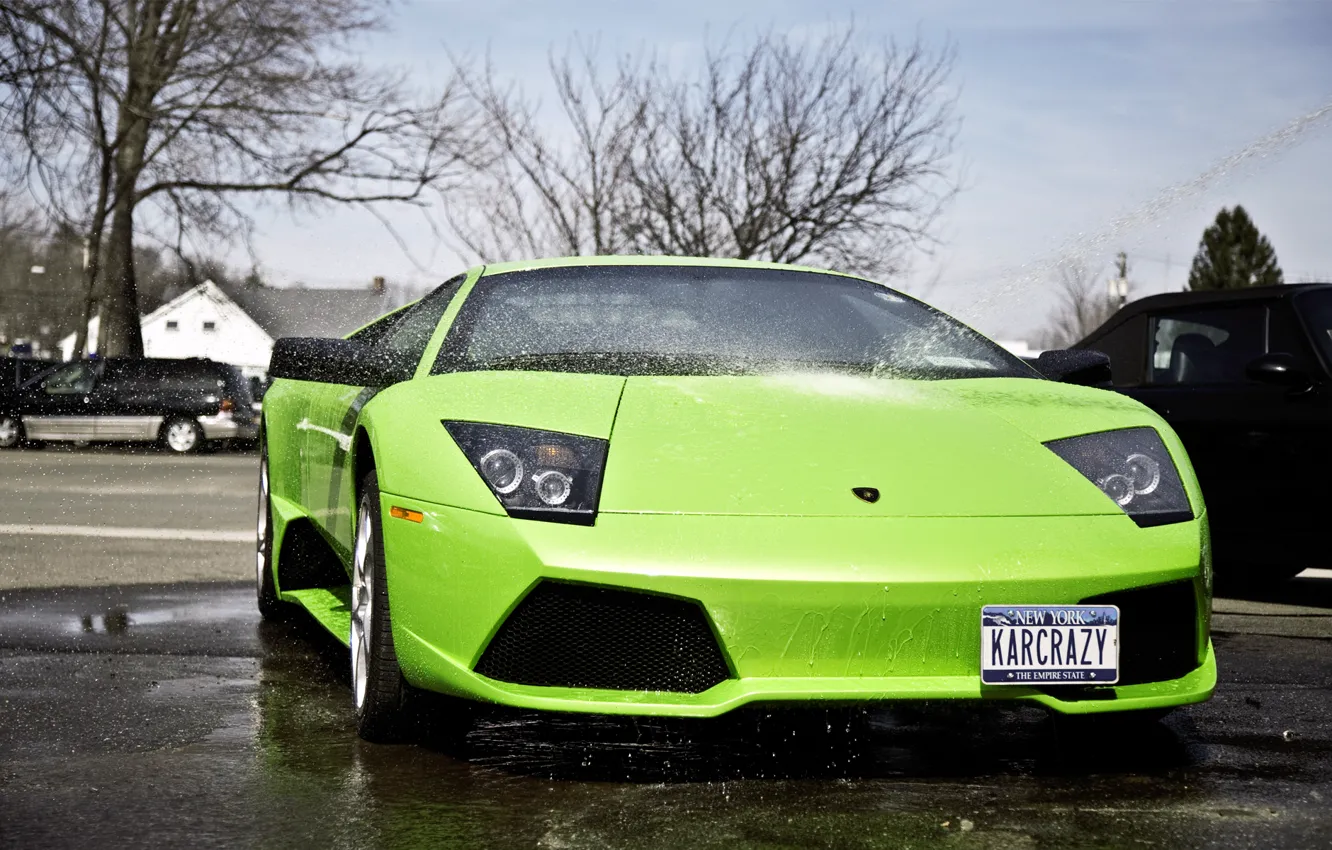 Фото обои Lamborghini, суперкар, murcielago