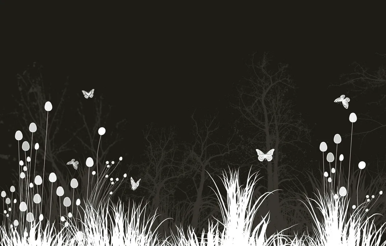 Фото обои Цветы, Ночь, Бабочки, Луг