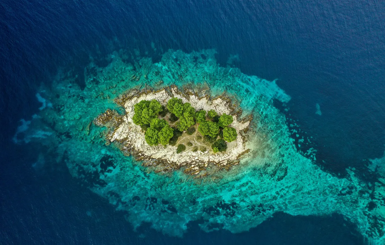 Фото обои деревья, озеро, остров