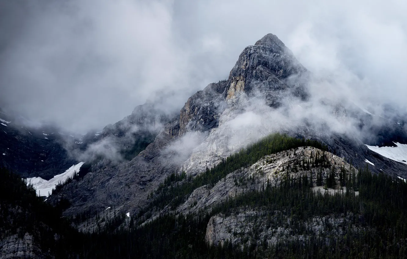 Фото обои небо, деревья, горы, природа, туман, скалы, Канада, Canada