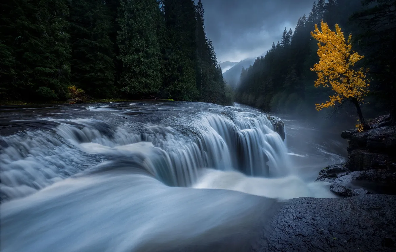 Фото обои осень, лес, вода, река, дерево, поток, выдержка
