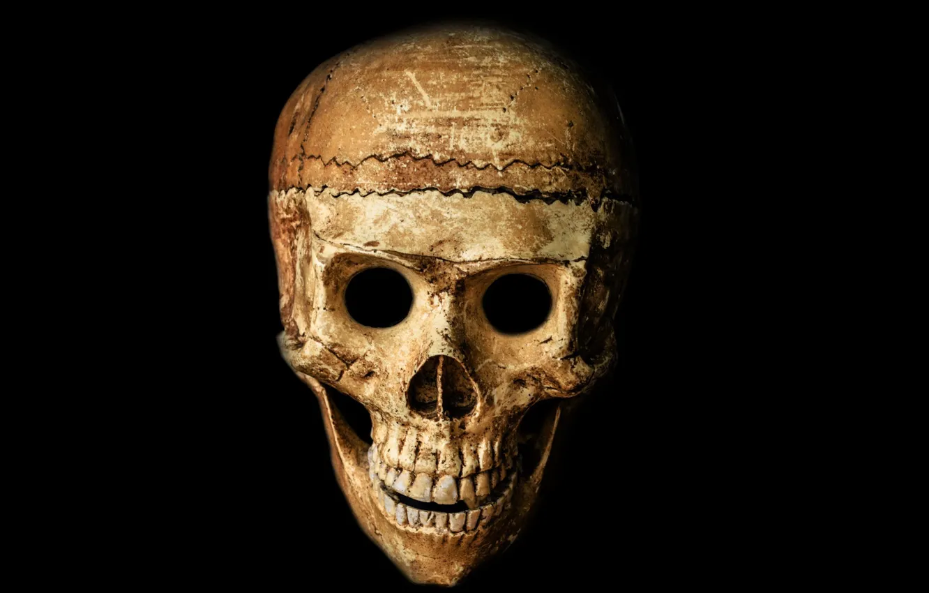 Фото обои skull, black, bones