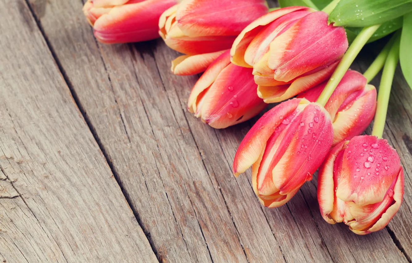 Фото обои цветы, красный, букет, тюльпаны, red, wood, flowers, tulips