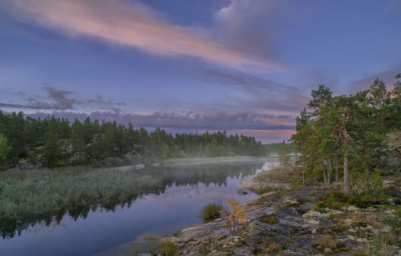 Фото обои лес, пейзаж, природа, туман, озеро, камни, утро, Ладожское озеро