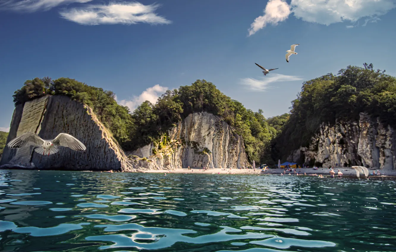Фото обои море, пляж, пейзаж, птицы, природа, скалы, чайки