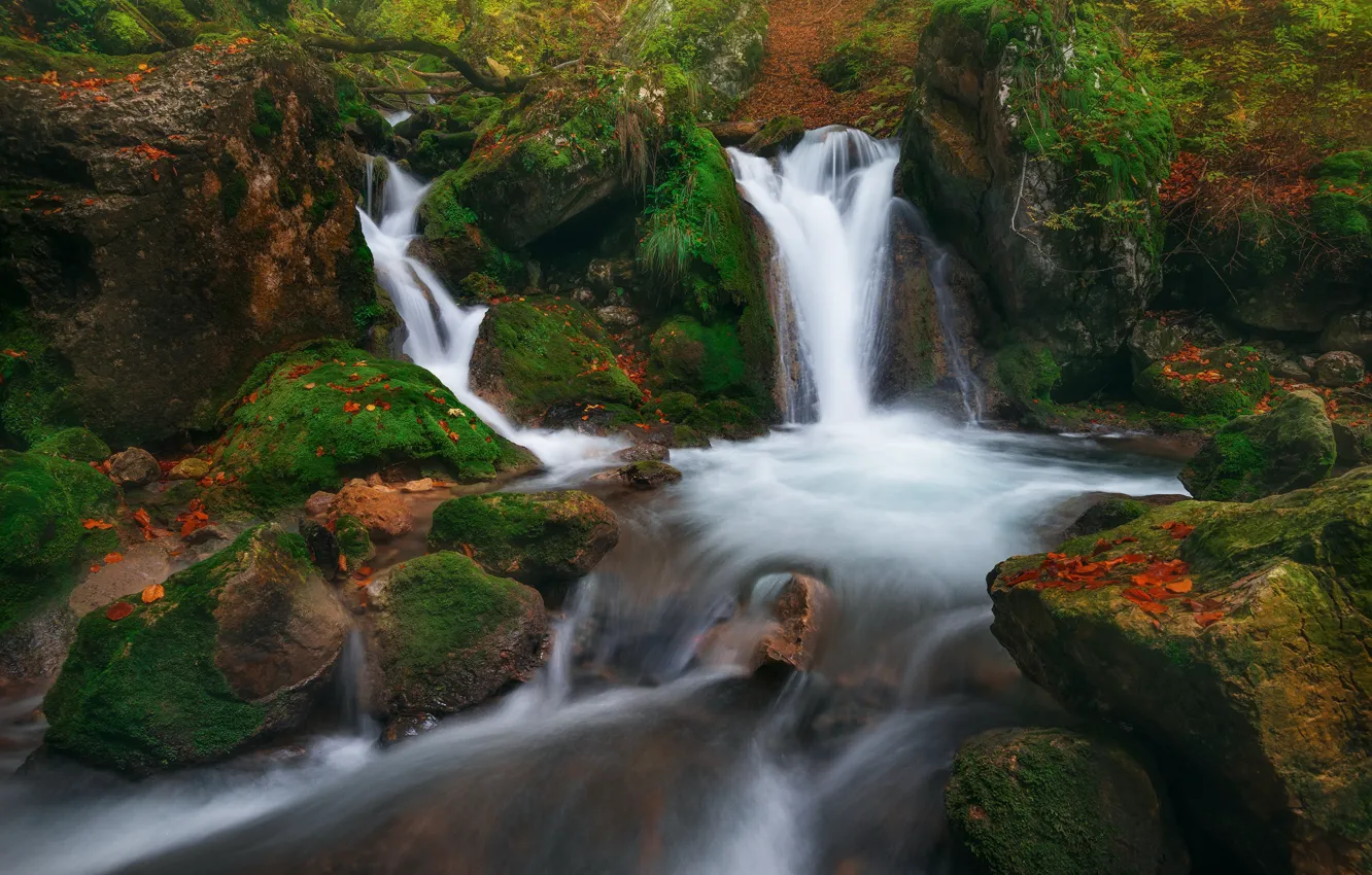 Фото обои ручей, камни, мох, речка, водопады, каскад
