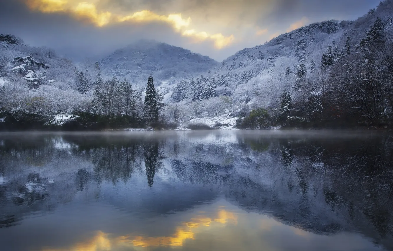Фото обои зима, иней, деревья, озеро