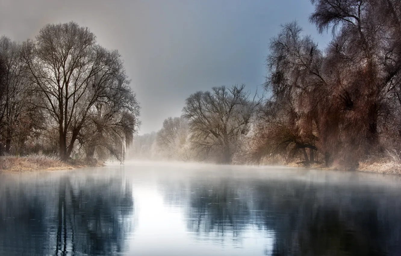 Фото обои зима, иней, деревья, пейзаж, природа, туман, отражение, река